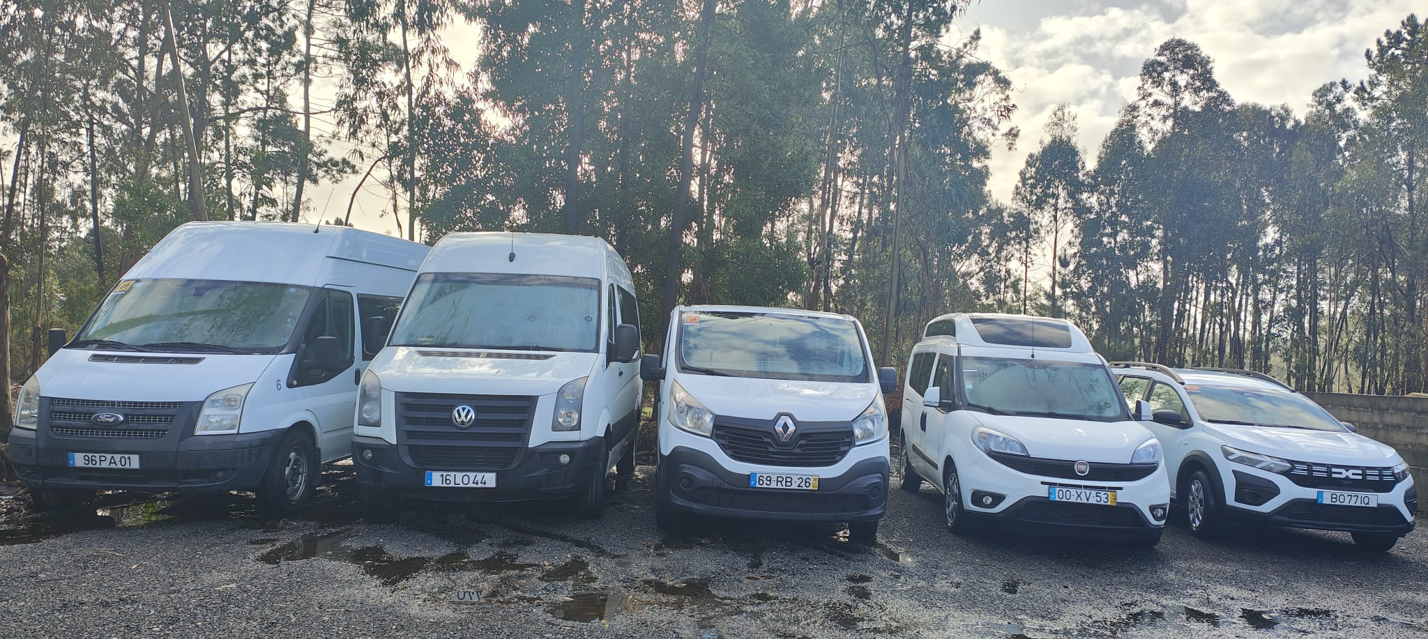 Transporte de Crianças